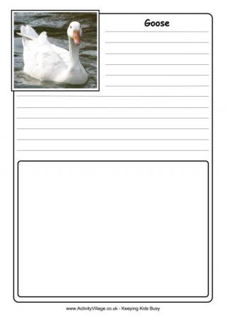 Goose Notebooking Page