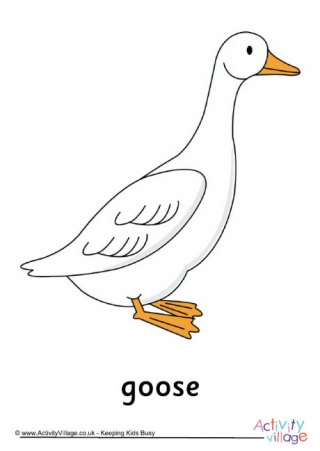 Goose Poster 1