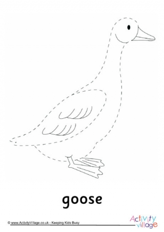 Goose Tracing Page