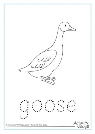 Goose Word Tracing