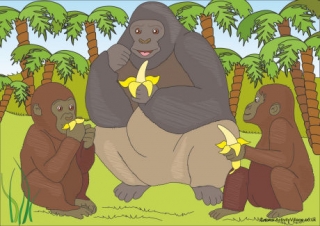 Gorillas Scene Poster