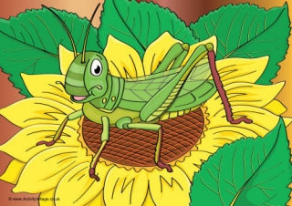 Grasshopper Scene Poster