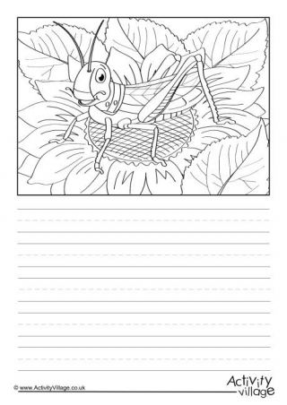 Grasshopper Scene Story Paper