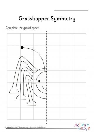 Grasshopper Symmetry Worksheet
