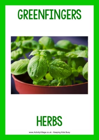 Greenfingers Garden Centre Herbs Poster