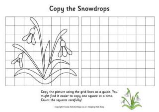Grid Copy Snowdrops