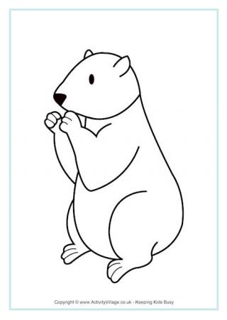 Groundhog Colouring Page