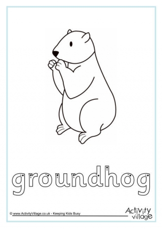 Groundhog Finger Tracing