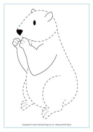 Groundhog Tracing Page