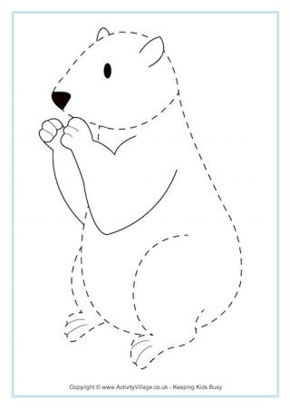 Groundhog Tracing Page