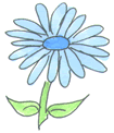 Guess The Petals