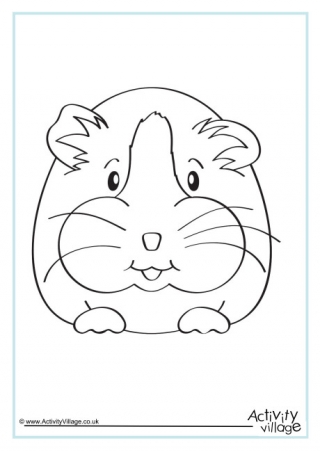 Guinea Pig Colouring Page 1