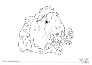 Guinea Pig Colouring Page 2