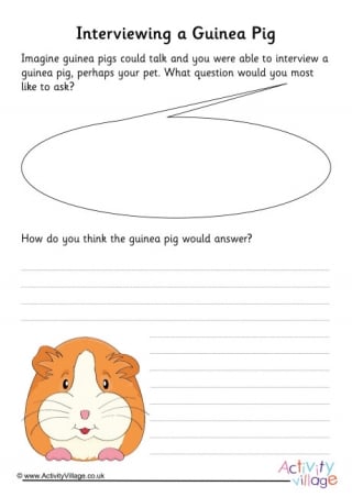 Guinea Pig Interview Writing Prompt