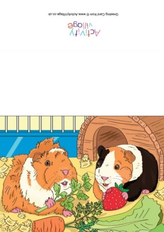 Guinea Pig Scene Card