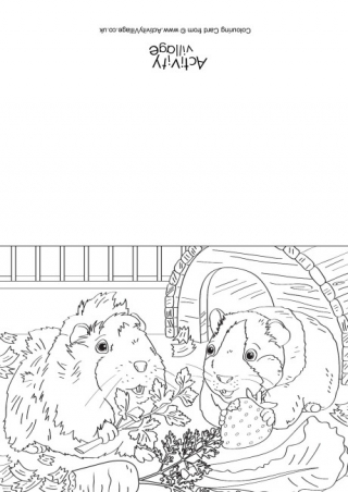 Guinea Pig Scene Colouring Card