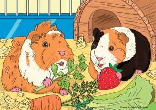 Guinea Pig Scene Poster