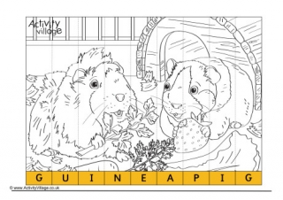 Guinea Pig Spelling Jigsaw