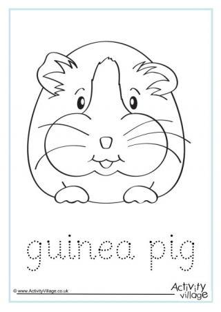 Guinea Pig Word Tracing