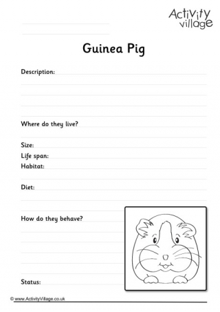 Guinea Pig Worksheet