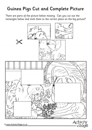 Guinea Pigs Cut And Complete The Picture
