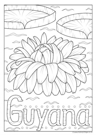 Guyana National Flower Colouring Page