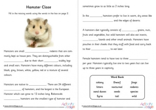 Hamster Cloze