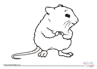 Hamster Colouring Pages
