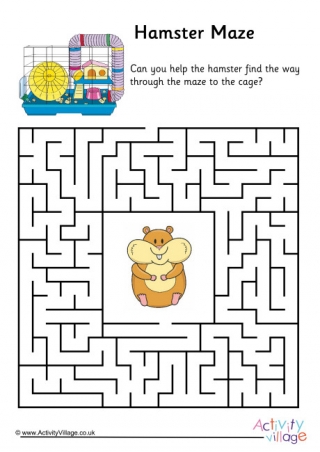 Hamster Maze 1