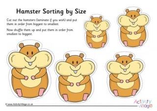Hamster Size Sorting
