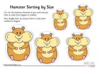 Hamster Size Sorting