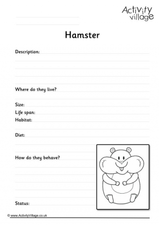 Hamster Worksheet