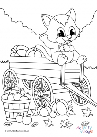 Harvest Cat Colouring Page