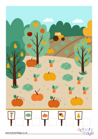 Harvest Counting Activity