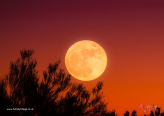 Harvest Moon Poster 1