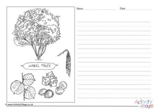 Hazel Tree Story Paper