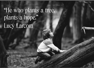 He Who Plants a Tree Poster