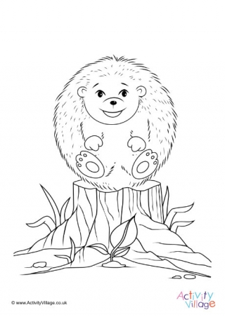Hedgehog Colouring Page 4