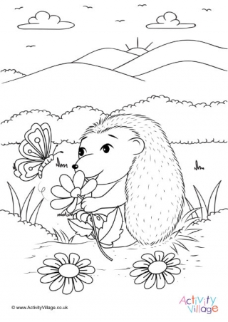 Hedgehog Colouring Page 5
