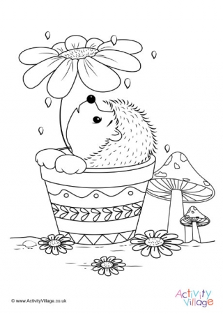 Hedgehog Colouring Page 8