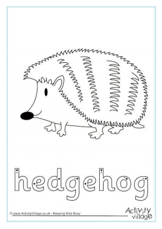 Hedgehog Finger Tracing
