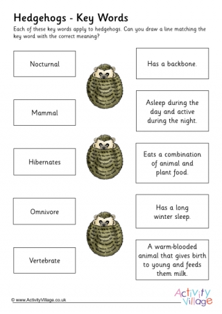 Hedgehog Key Words
