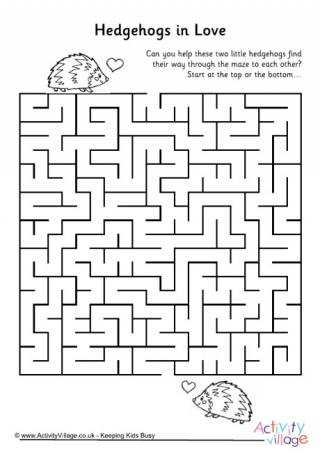 Hedgehogs in Love Maze