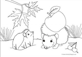 Hedgehogs Scene Colouring Page