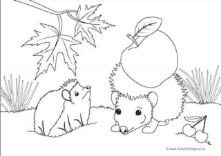 Hedgehogs Scene Colouring Page
