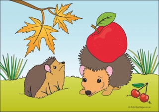 Hedgehogs Scene Poster