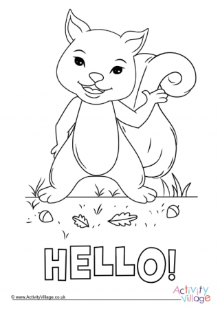 Hello Squirrel Colouring Page