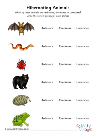 Hibernating Animal Diet Worksheet