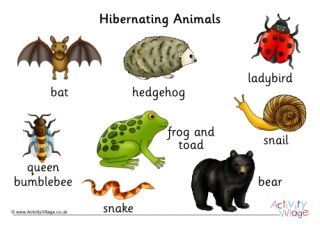 Hibernating Animal Word Mat