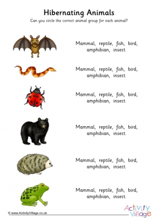 Hibernating animals group name worksheet